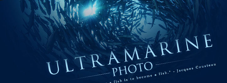 Ultramarine Photo New Website