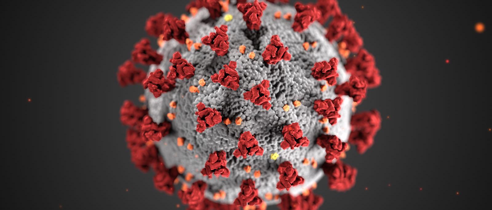 COVID-19 cell